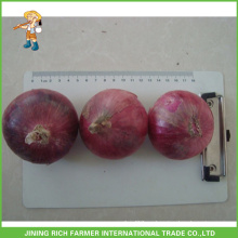 Special Grade a Cebollas Frescas Jining Cebolla Roja